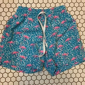 CHUBBIES The Glades Lined Shorts, Swim Trunks, Flamingo Print 4.5” size XS